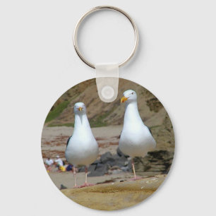 Llavero Gaviotas En La Playa De Los Océanos