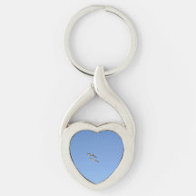 Gaviotas volando alto -