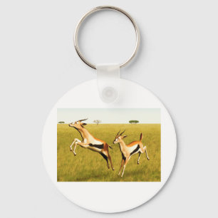 Llavero Gazelle de Thomson