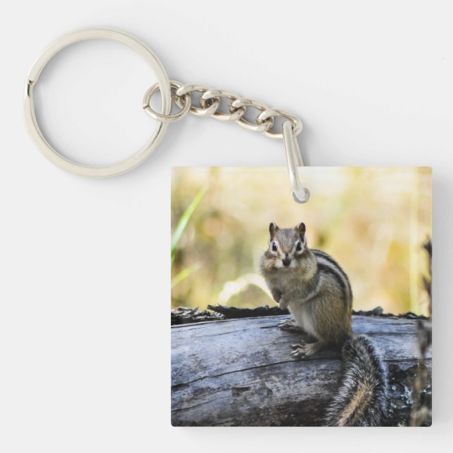 Llavero Gazing Chipmunk (Frente)