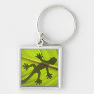 Llavero Gecko