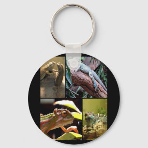 Llavero Gecko lagartos y Chameleons