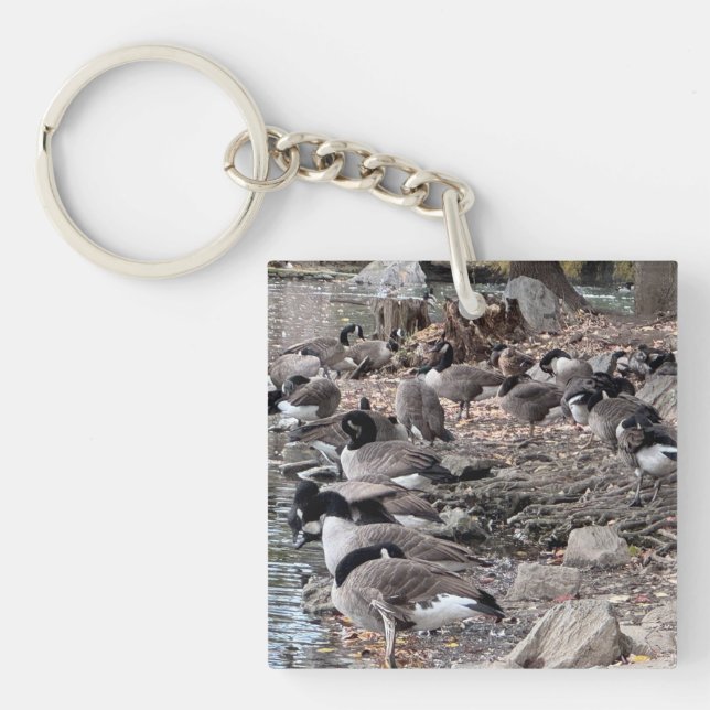 Llavero Geese in the Park Key Chain (Frente)