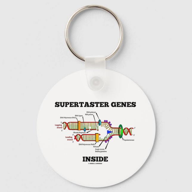 Llavero Genes Supertaster Adentro (Replicación de ADN) (Anverso)