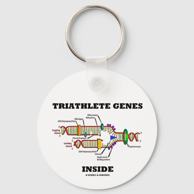 Llavero Genes Triatleta Dentro (Replicación de ADN) (Anverso)