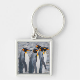 Llavero Georgia del Sur. Pingüinos rey