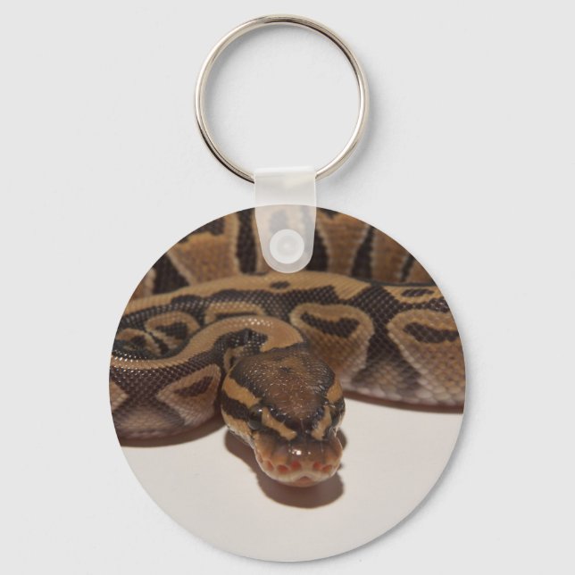 Llavero Ghost Ball Python Keychain (Anverso)