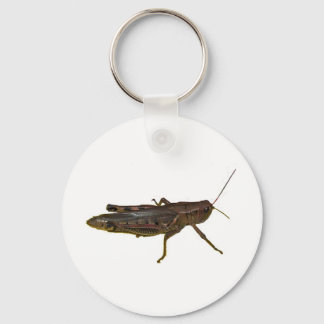 Llavero Giant Grasshopper