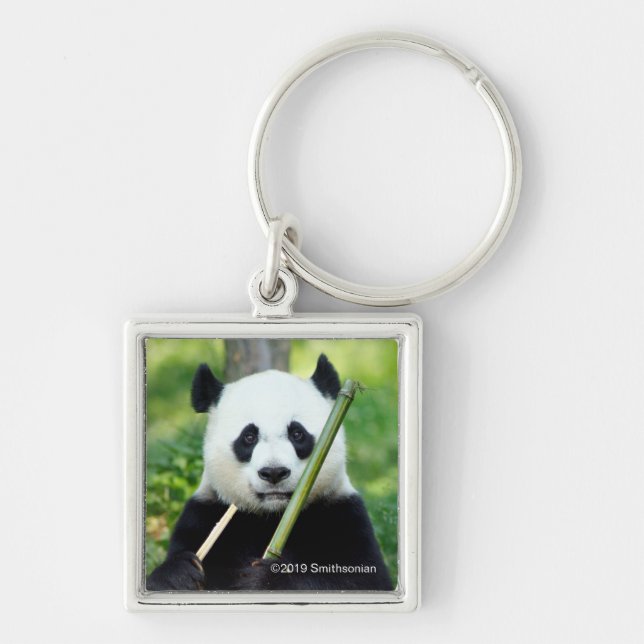 Llavero Giant Panda Holding Bamboo (Frente)