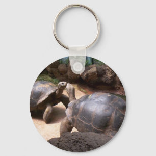 Llavero Giant Turtle Kiss
