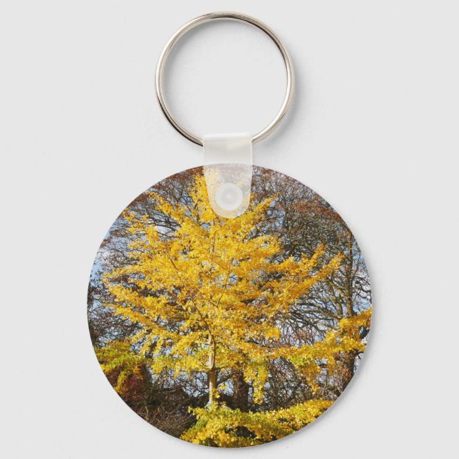 Llavero Ginkgo Biloba Tree Keyring (Anverso)