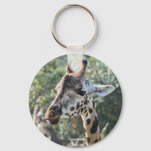Llavero Giraffe