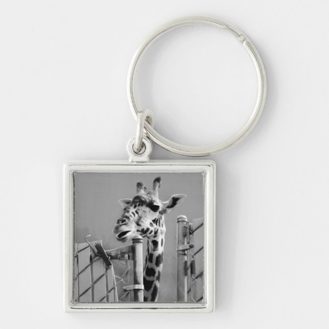 Llavero Giraffe detrás de Fence Black & White Photography (Frente)