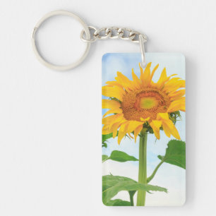 Llavero Girasol, jardín comunitario, Moses Lake, WA, EE. U