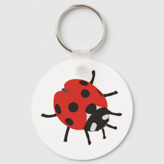 Llavero Glückskäfer, Marienkäfer
