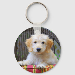 Llavero Golden Doodle Puppy Keychain