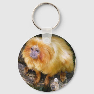 Llavero Golden Lion Tamarin