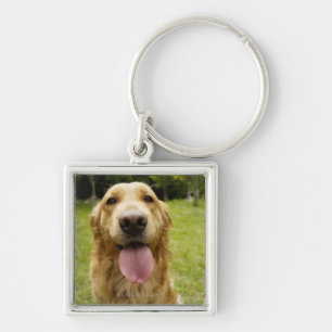 Llavero Golden retriever 4
