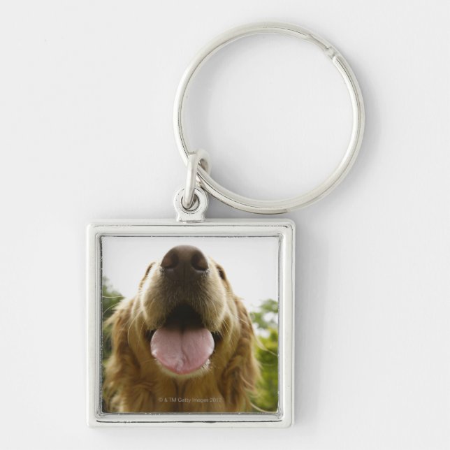 Llavero Golden retriever 5 (Frente)