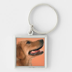 Llavero Golden retriever 7