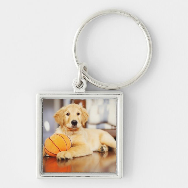 Llavero Golden Retriever Con Juguete De Baloncesto (Frente)