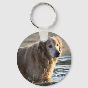 Llavero Golden retriever en agua