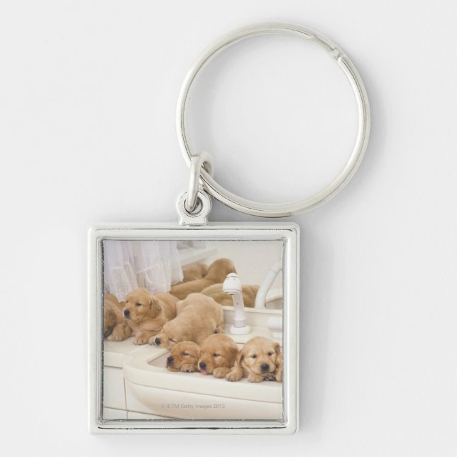 Llavero Golden retriever; es un relativamente moderno y 2 (Frente)