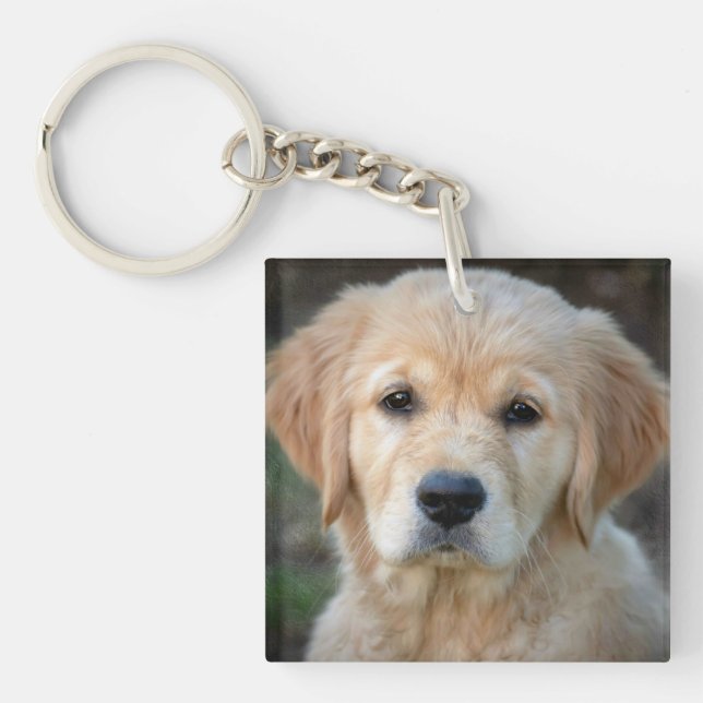 Llavero Golden Retriever Puppy (Frente)