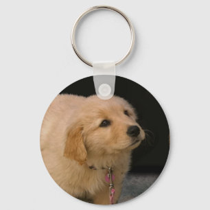 Llavero Golden Retriever Puppy