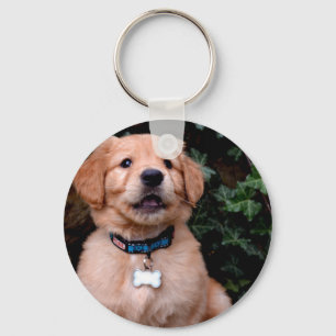 Llavero Golden Retriever Puppy