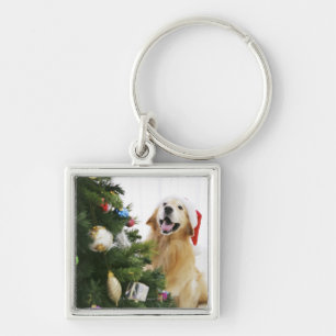 Llavero Golden retriever que mira el árbol de navidad