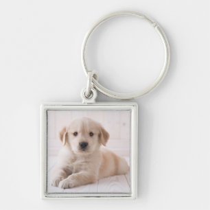 Llavero Golden retriever que se acuesta