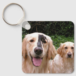 Llavero Golden Retrievers Peter Fox y Mom Keychain