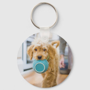 Llavero Goldendoodle lleva el tazón de la cena