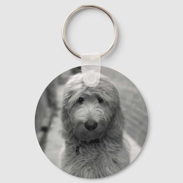 Llavero Goldendoodle Puppy En El Patio Trasero (Anverso)