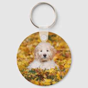 Llavero Goldendoodle Puppy En Hojas Caídas