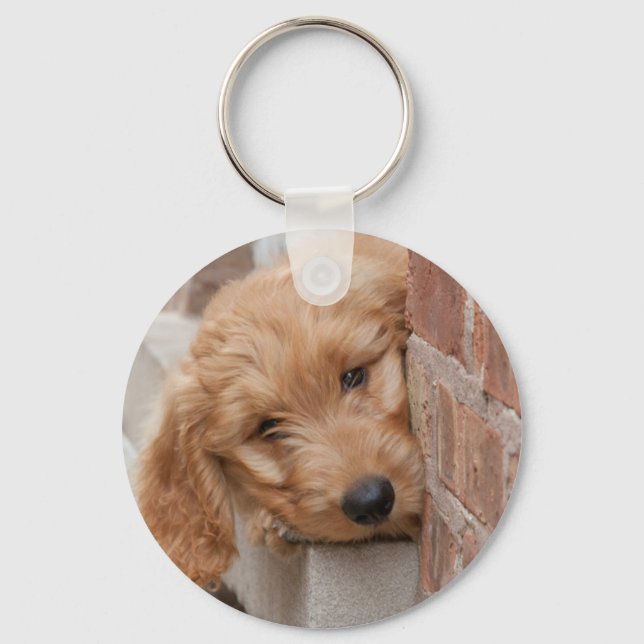 Llavero Goldendoodle Puppy Peeking (Anverso)