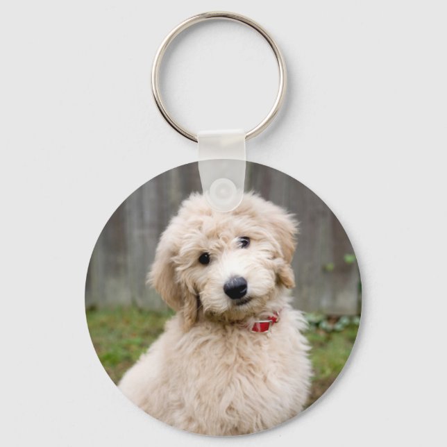Llavero Goldendoodle Puppy Sits En Grasa (Anverso)