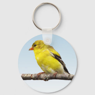 Llavero Goldfinch