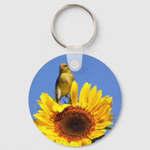 Llavero Goldfinch americano en el girasol