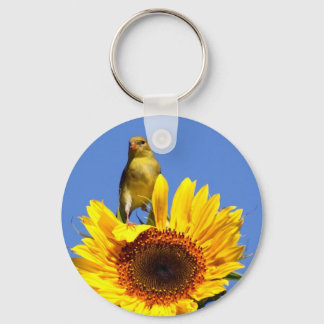 Llavero Goldfinch estadounidense sobre el girasol