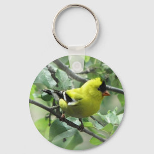 Llavero Goldfinch Keychain
