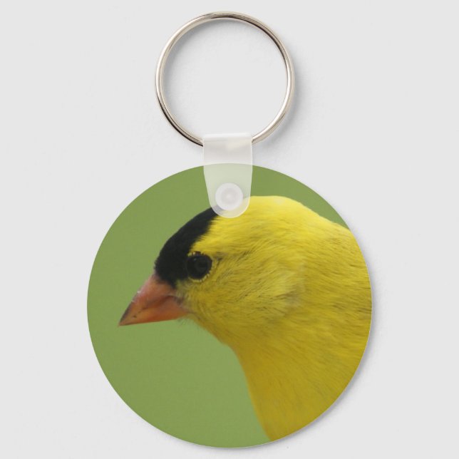 Llavero Goldfinch Keychain (Anverso)