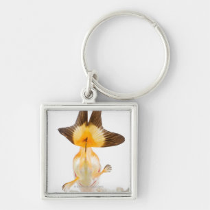 Llavero Goldfish (auratus del Carassius) 2