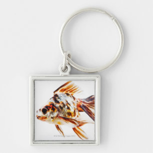 Llavero Goldfish del cometa de la cola de milano del