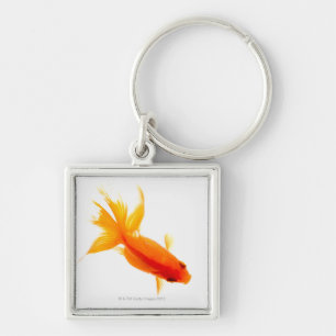 Llavero Goldfish, visión de arriba