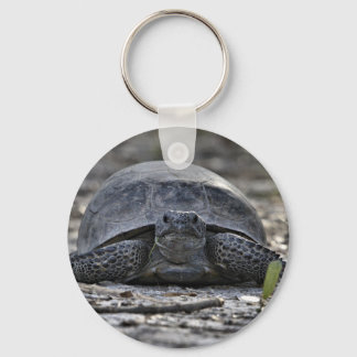 Llavero Gopher Tortoise Photo Keychain
