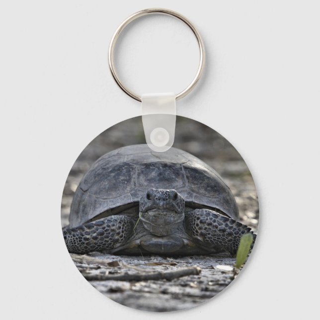 Llavero Gopher Tortoise Photo Keychain (Anverso)