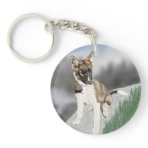 Gorgeous Husky Puppy