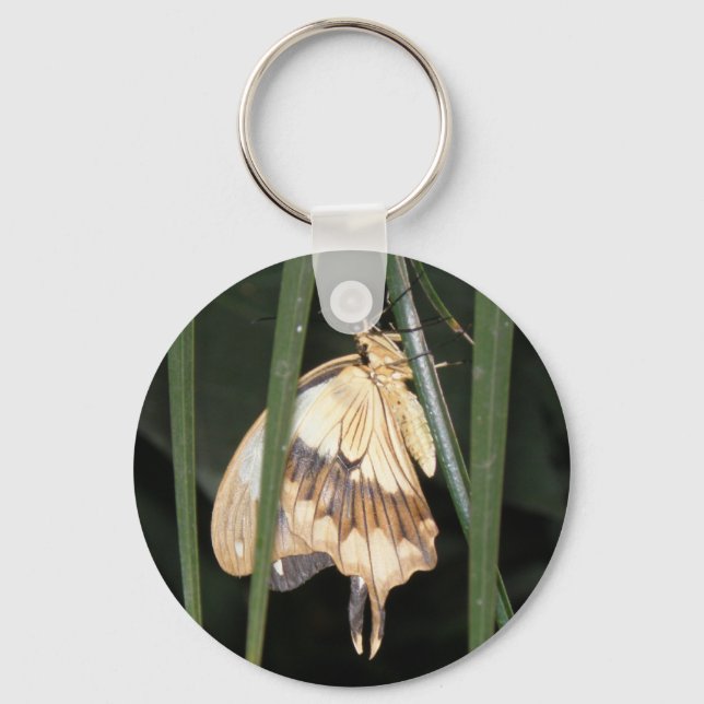 Llavero Gorgeous Moth Keychain (Anverso)